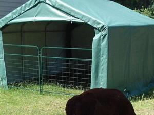 Naves para caballos / Carpas para caballos