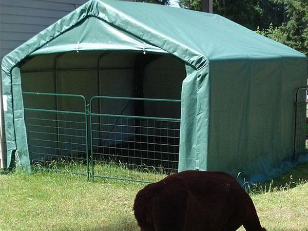 Carpa para cría de animales domésticos y caballos