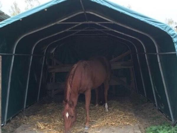 Carpa para ganado y refugio de caballos
