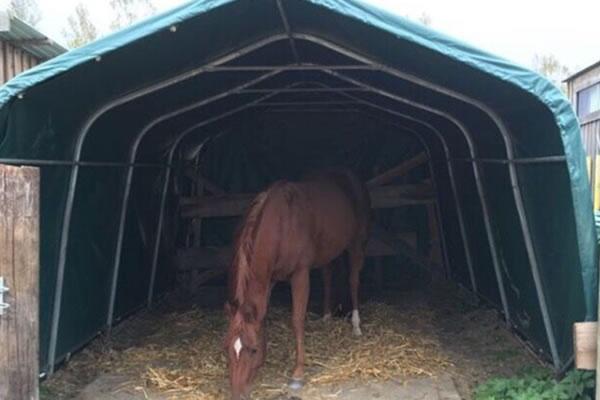 Albergue para ganado y caballos
