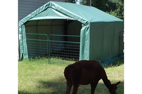 Carpa para cría de animales domésticos y caballos